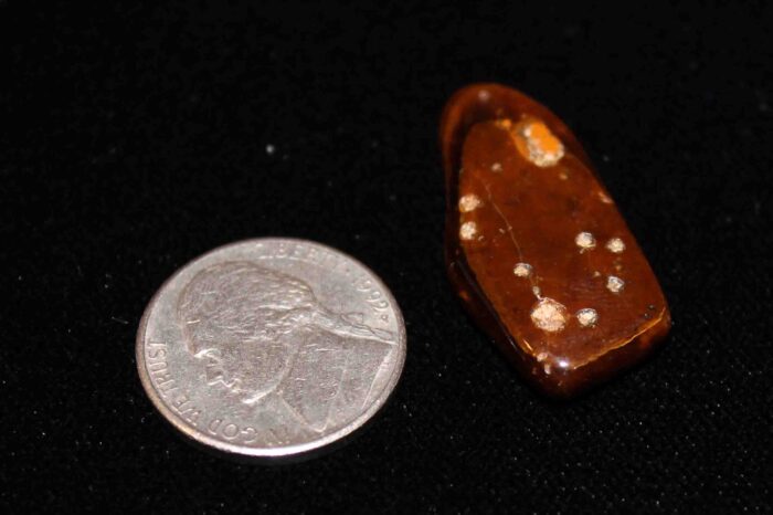 Comparing size of Tiger Eye stone to a nickel