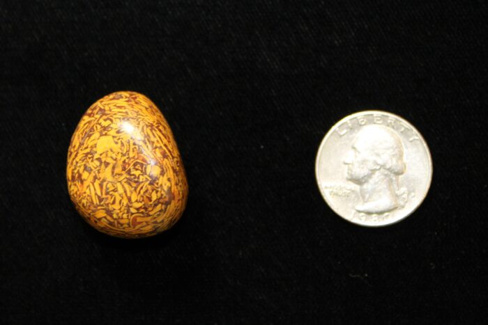 Leopard Jasper Crystal tumbled stone