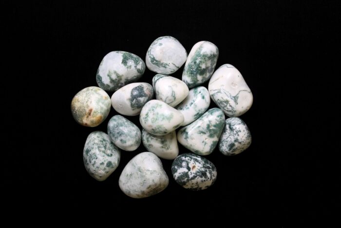 tree agate