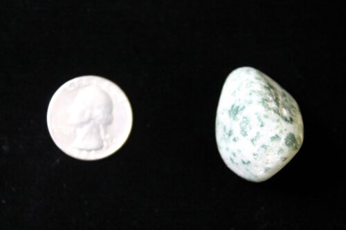 tree agate size