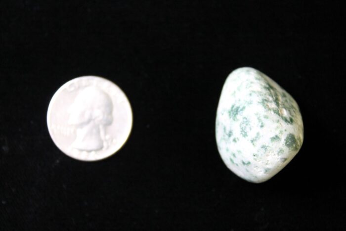 tree agate size